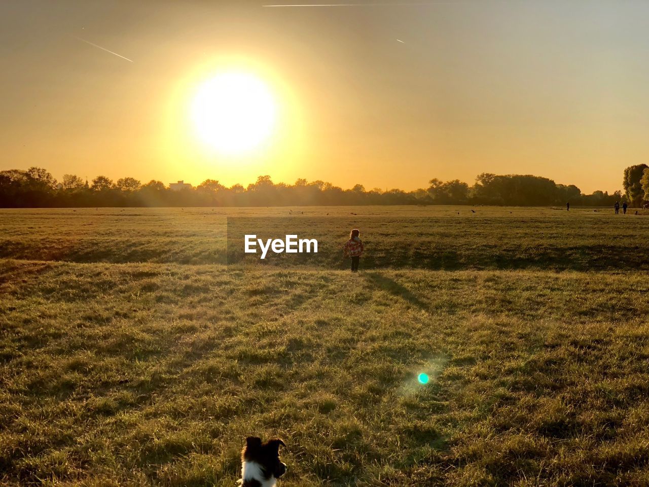 Scenic view of field against sky during sunset