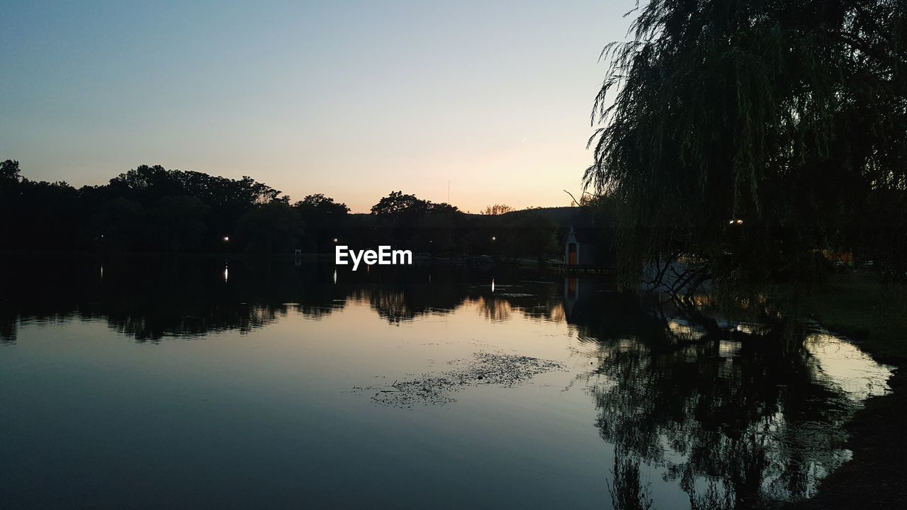 REFLECTION OF TREES IN WATER