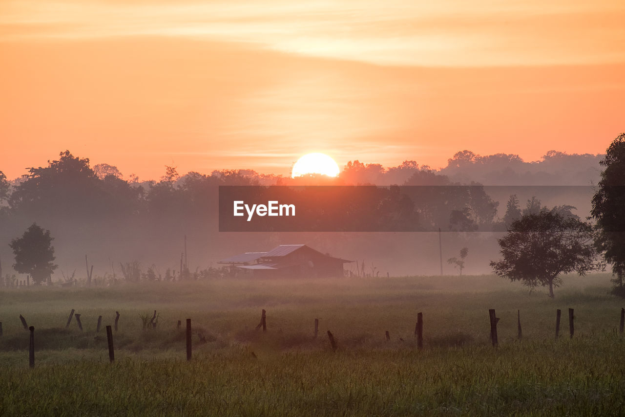 Scenic view of field against sky during sunset