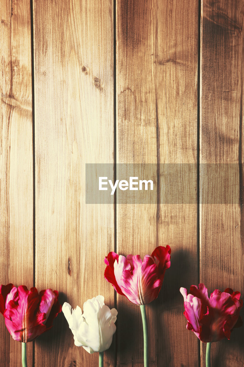 High angle view of flowers on wooden table