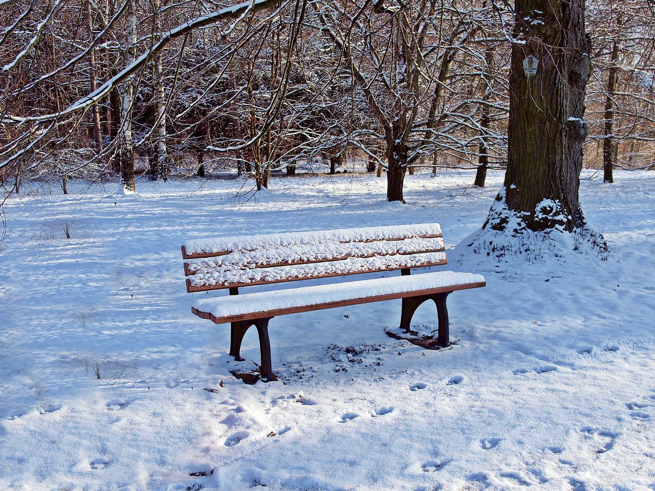 Empty bench in park during winter