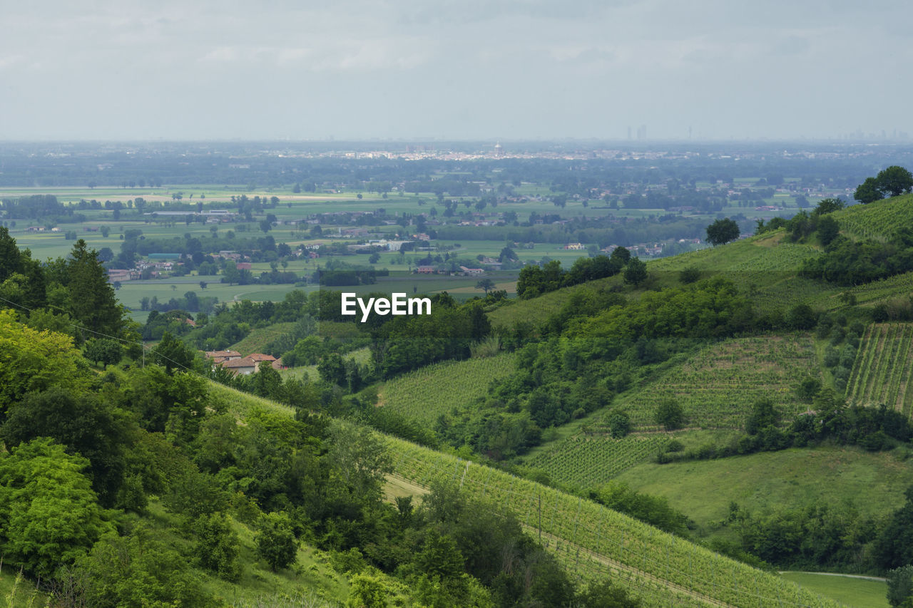 HIGH ANGLE VIEW OF GREEN LANDSCAPE AGAINST SKY