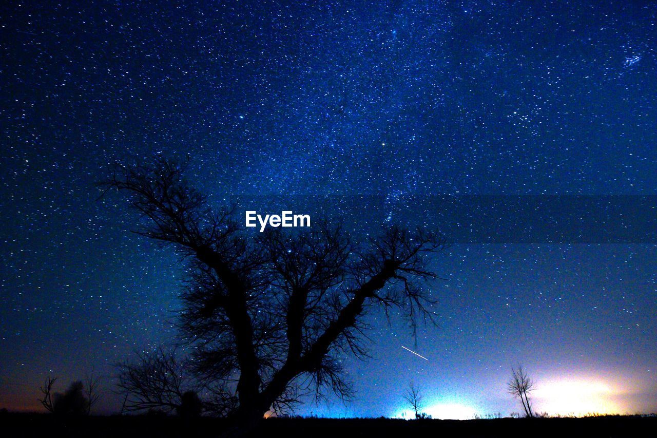 Low angle view of silhouette trees against star field at night