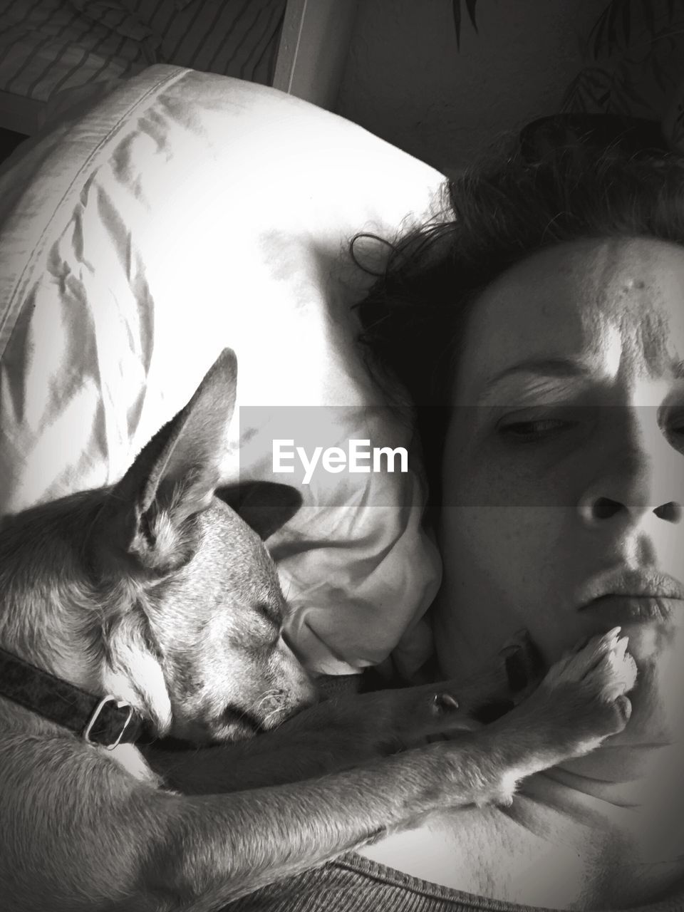 High angle view of woman lying by dog with paw on her face at bed