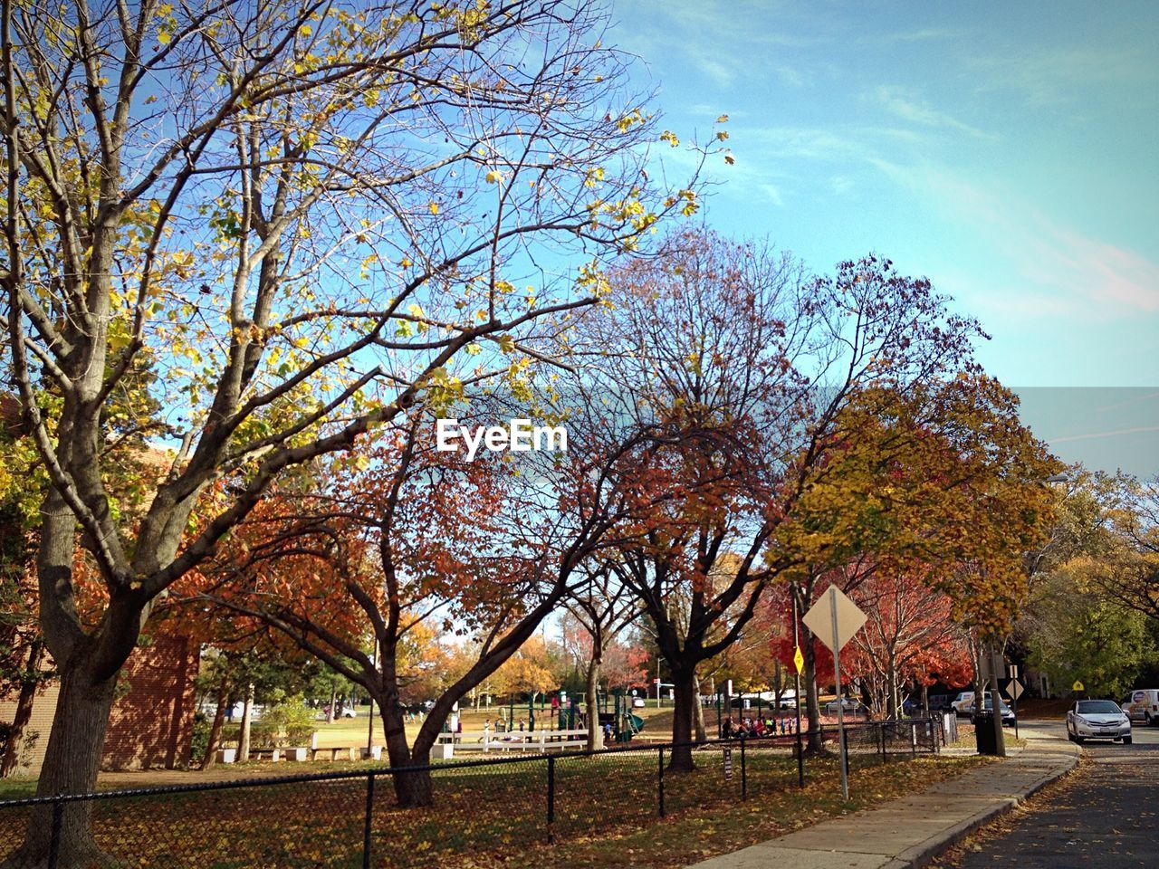 Bare trees against sky during autumn