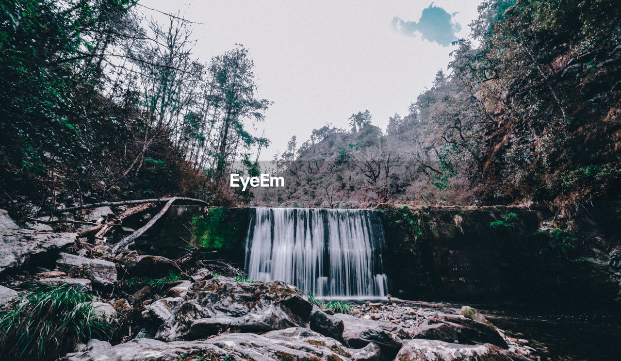 Scenic view of waterfall in forest against sky