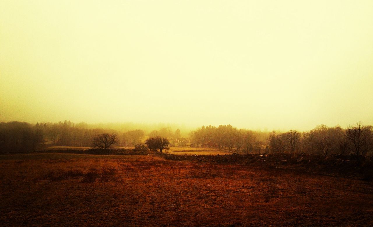 View of countryside landscape against clear sky