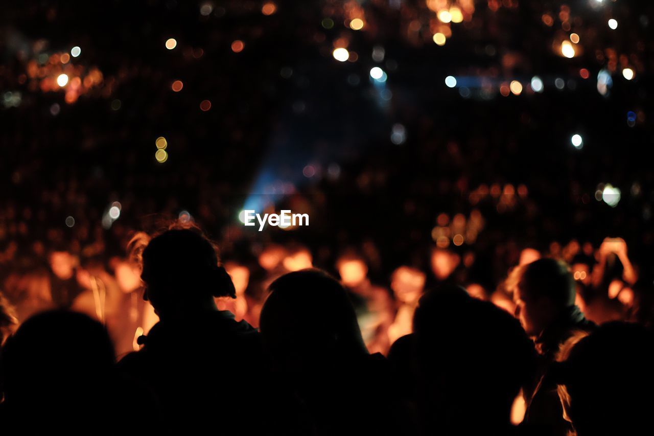 People enjoying music concert at night