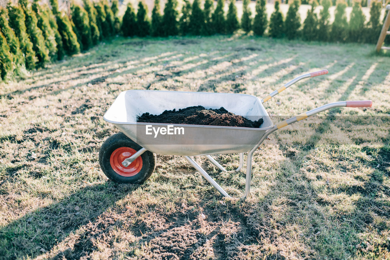 Wheelbarrow filled with soil on a lawn at sunset