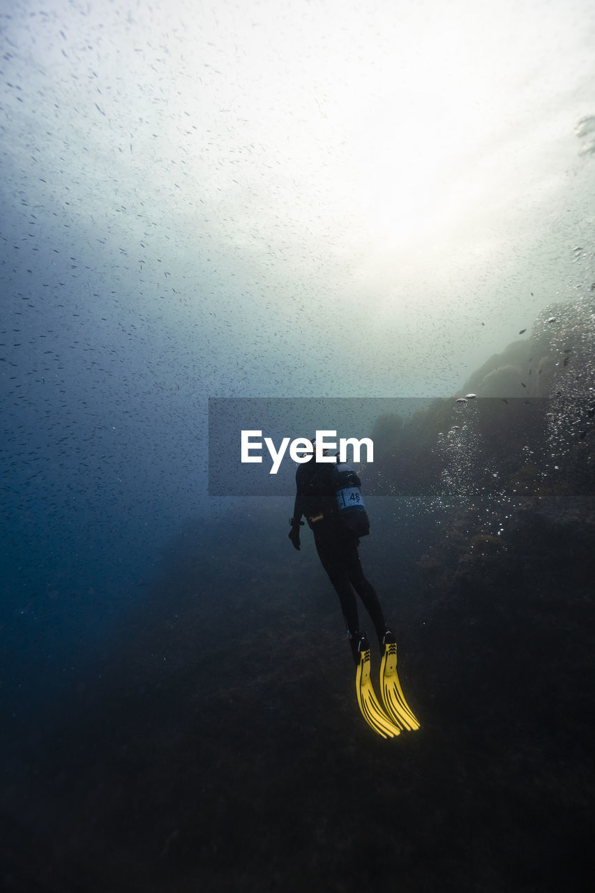 Young woman doing scuba diving undersea