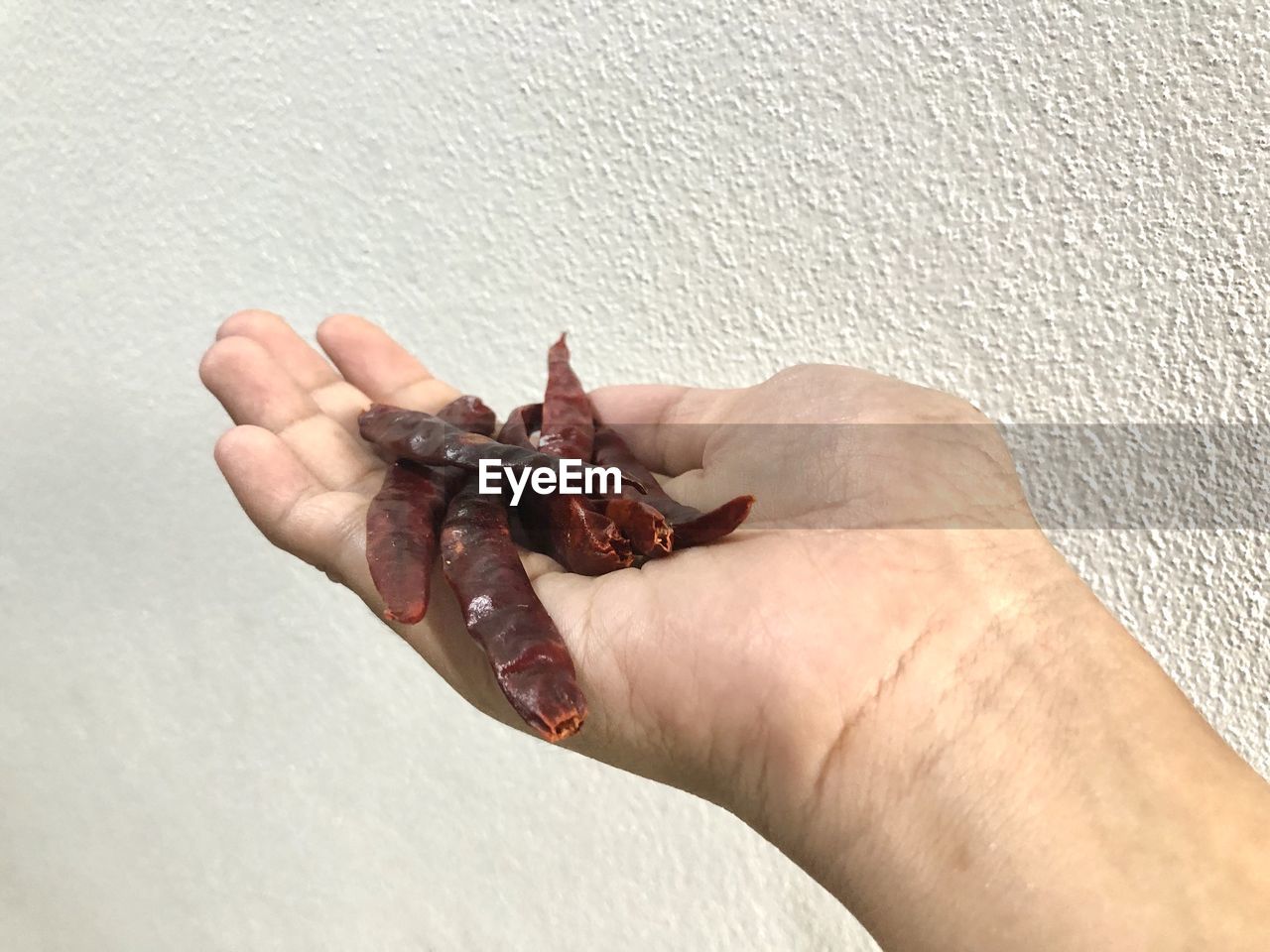 HIGH ANGLE VIEW OF PERSON HAND HOLDING LEAF