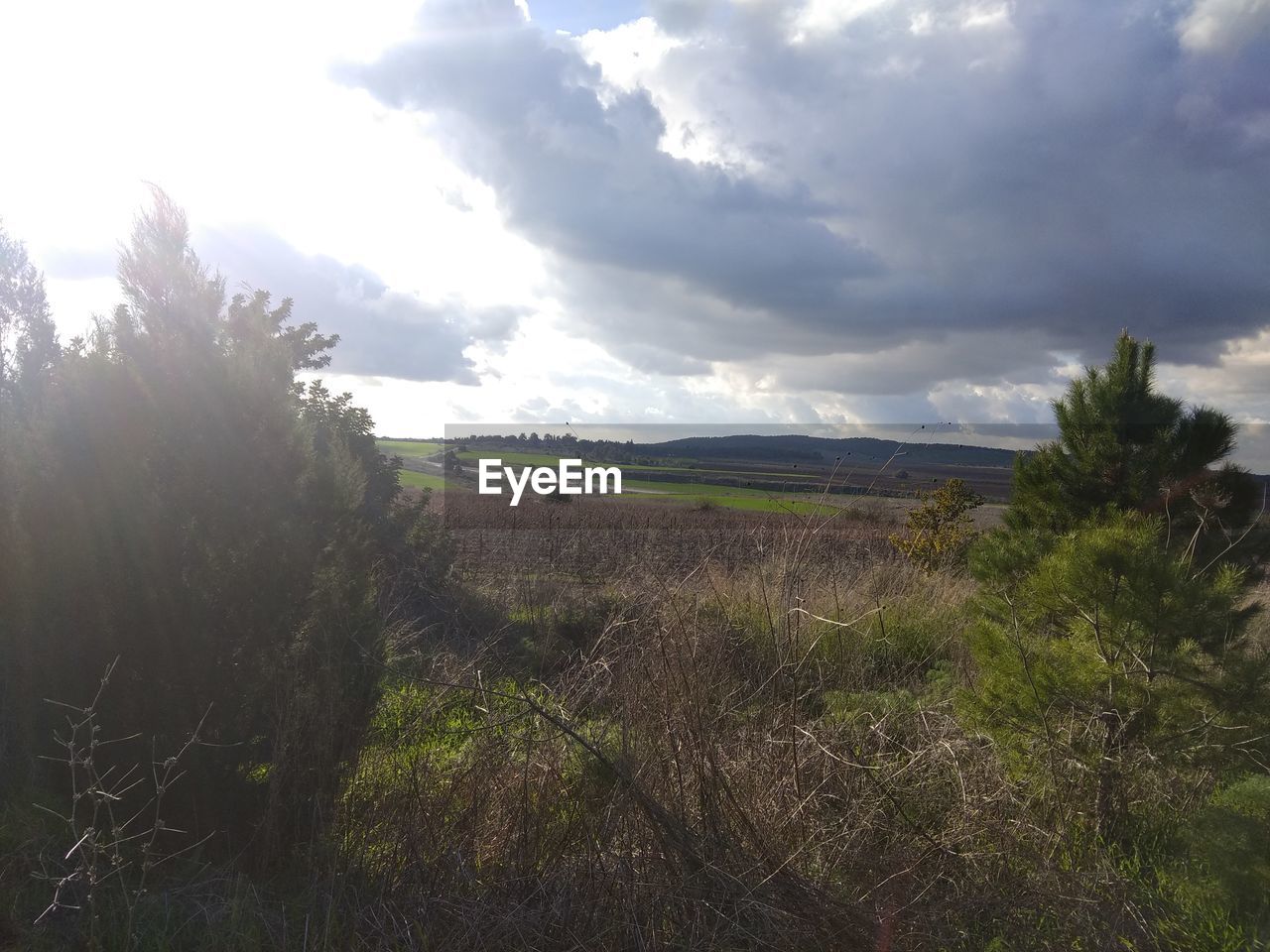 FIELD AGAINST SKY