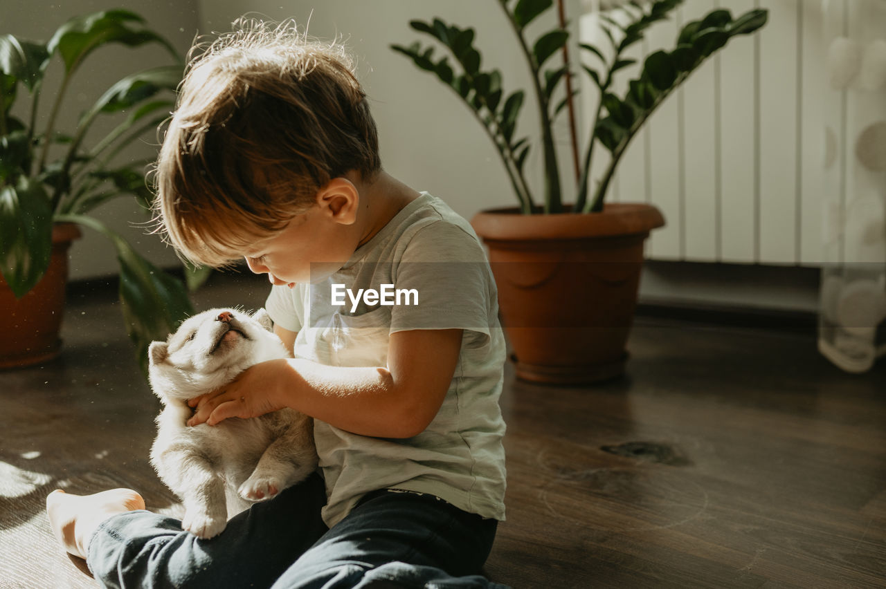 Cute boy playing with mixed breed puppy at home