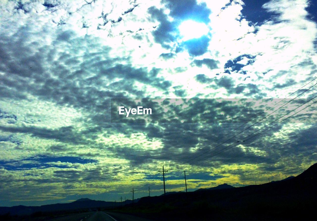 LOW ANGLE VIEW OF TREE AGAINST SKY