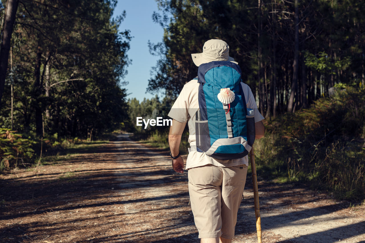 Back view of unrecognizable male traveler with rucksack and wooden stick standing on rough path between trees in summer