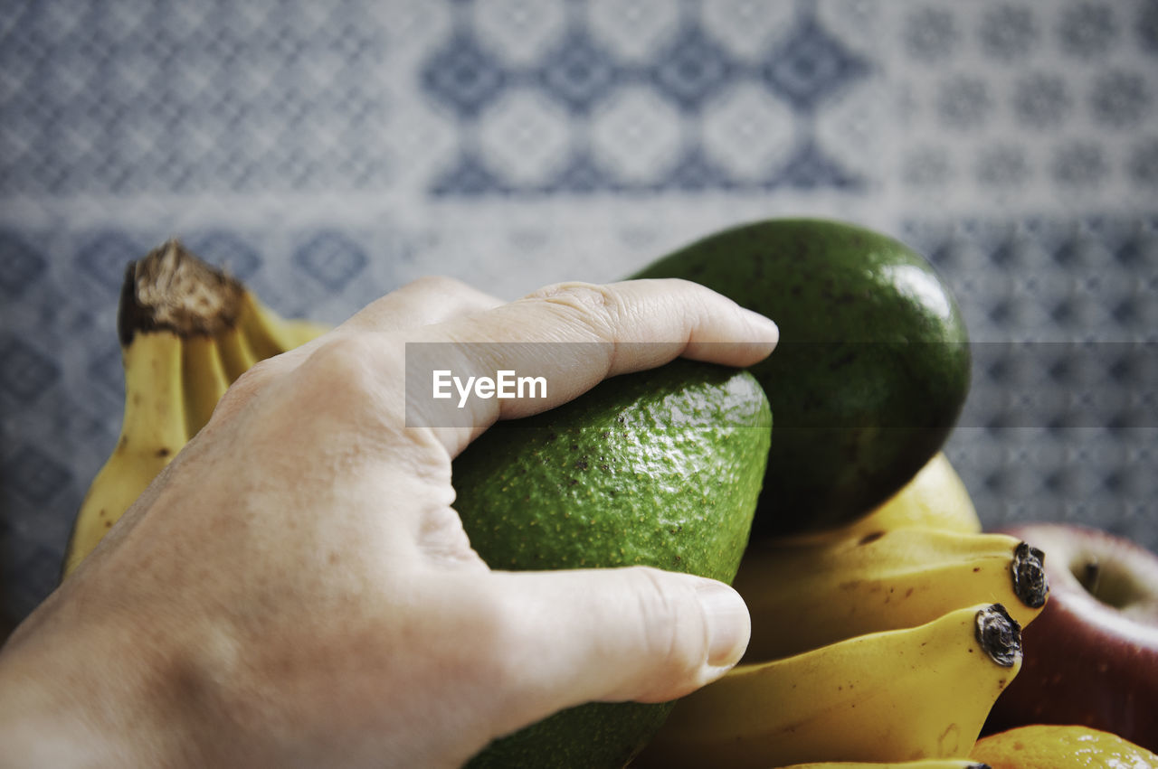 Cropped hand holding avocado