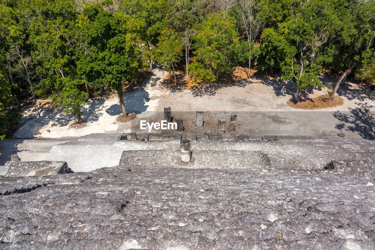 High angle view of steps at forest