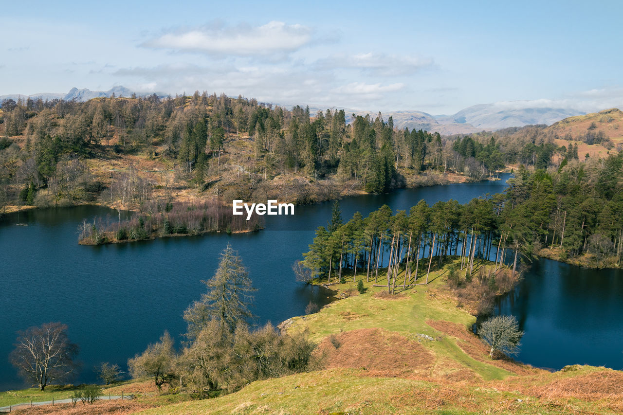 Scenic view of tarn hows in lake district 