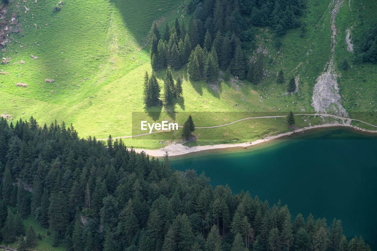 HIGH ANGLE VIEW OF GREEN LANDSCAPE