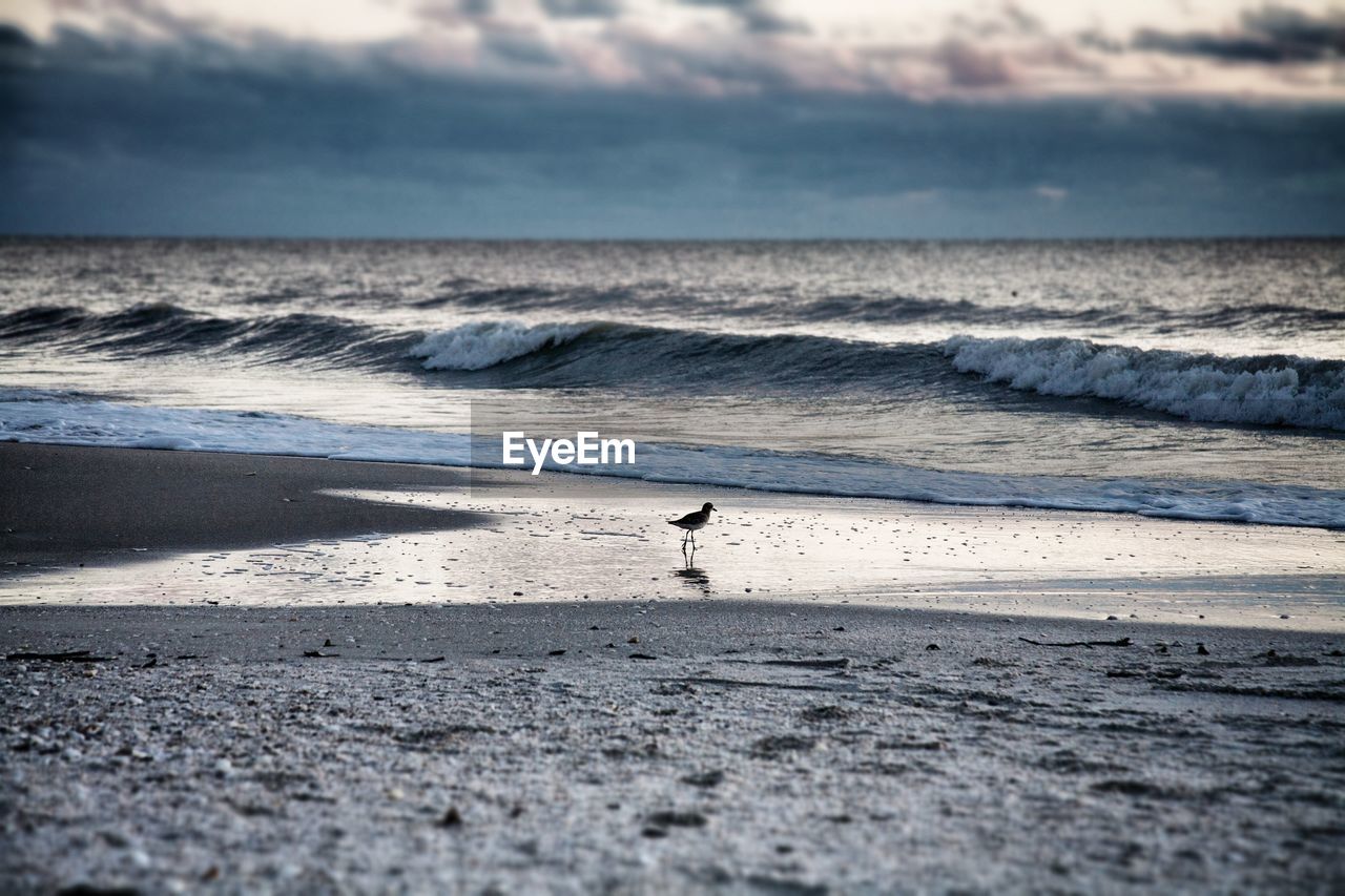 Scenic view of beach against cloudy sky