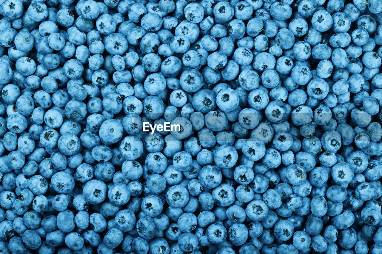 Close up background pattern of fresh ripe blueberry berries, elevated top view, directly above