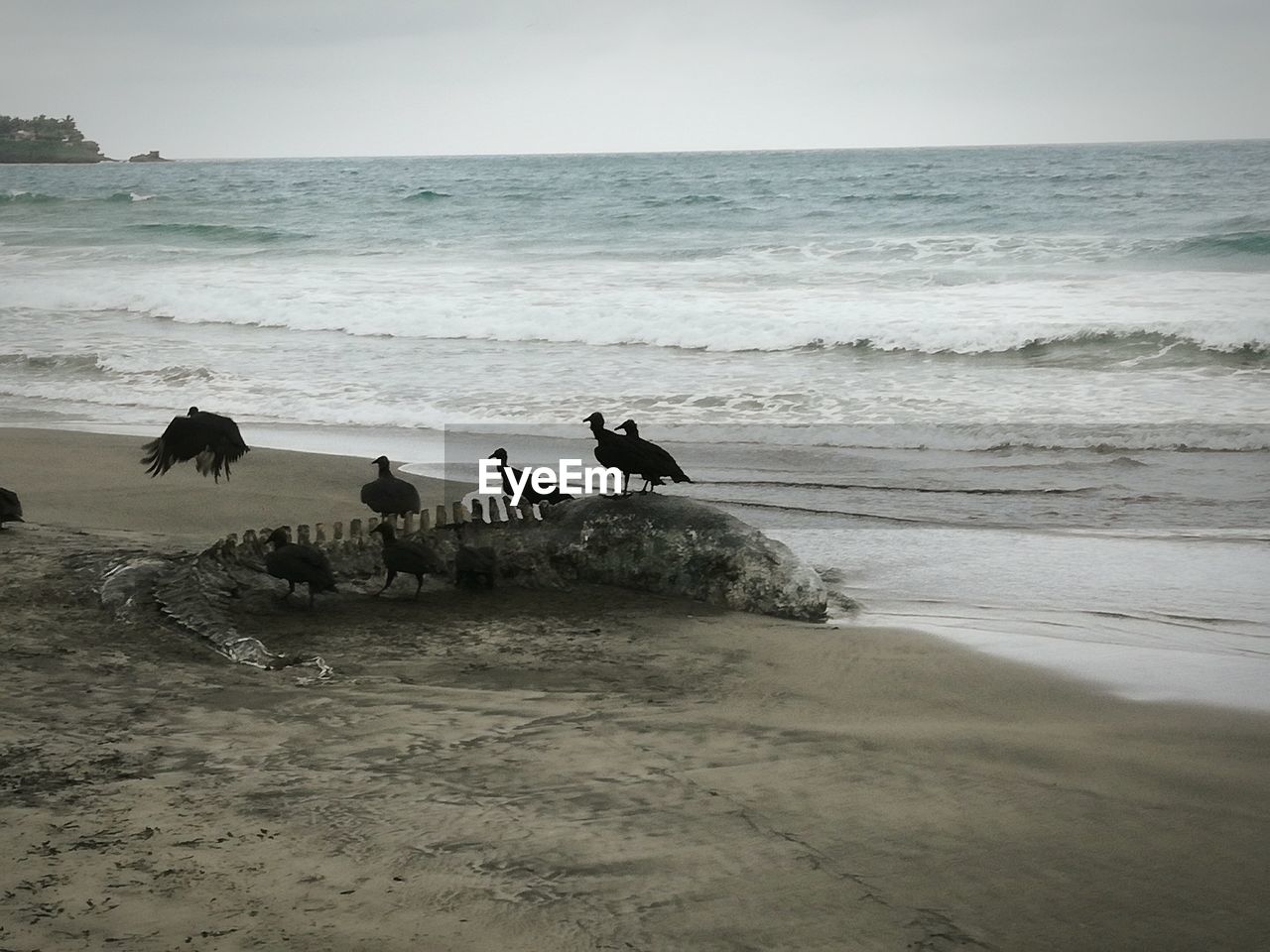 PEOPLE ON BEACH AGAINST SEA