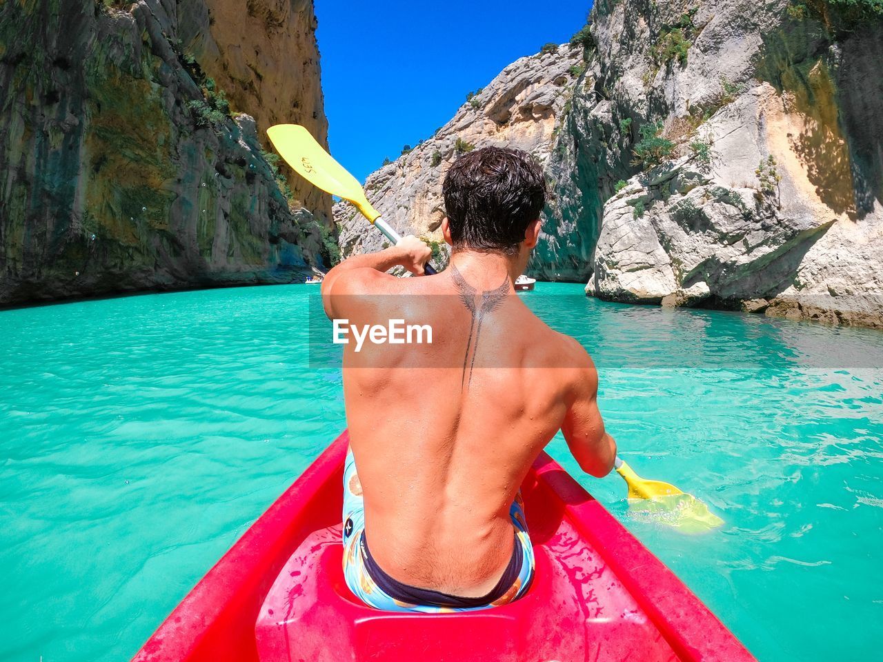 rear view of woman swimming in sea