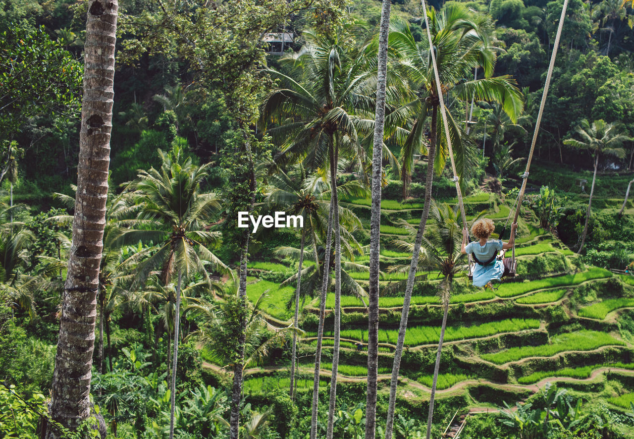 Man amidst trees in forest