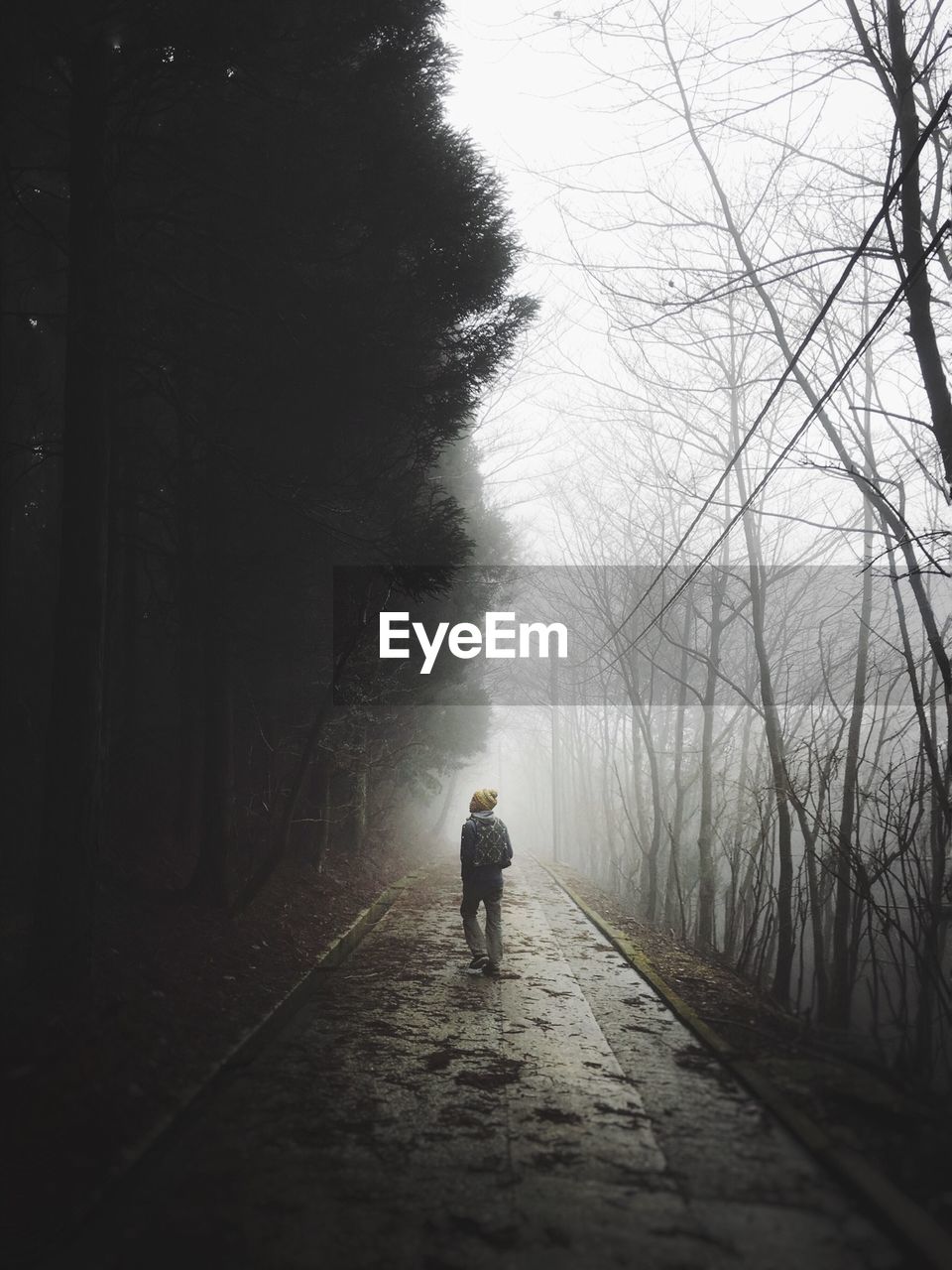 Rear view of man standing on street in foggy weather