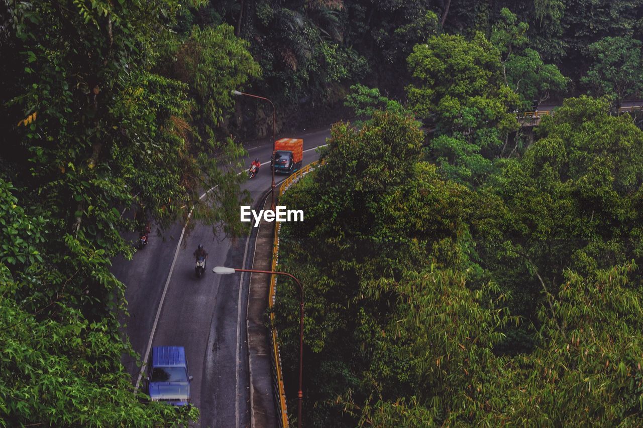 HIGH ANGLE VIEW OF ROAD AMIDST TREES
