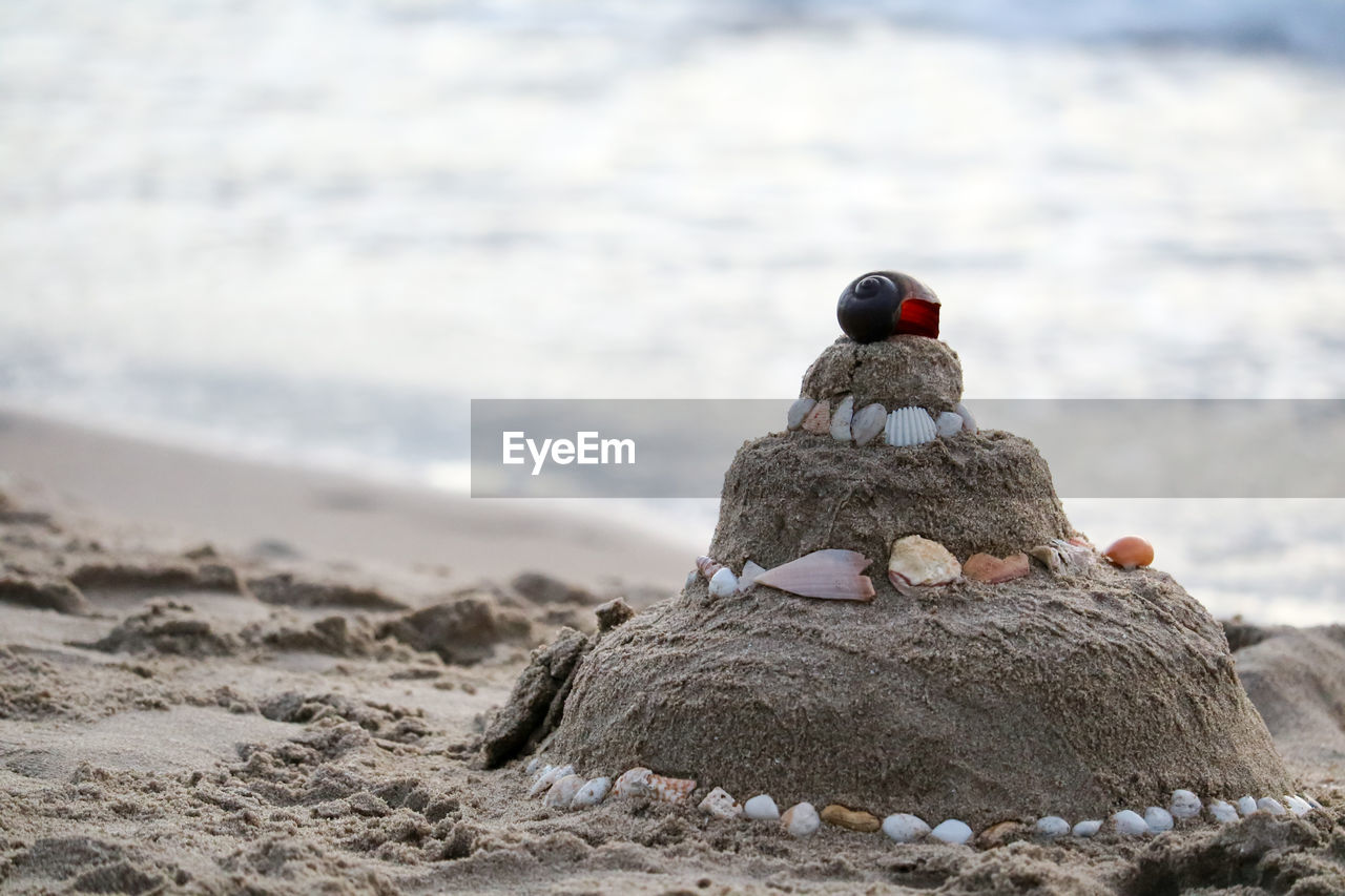 Rear view of bird on rock at beach