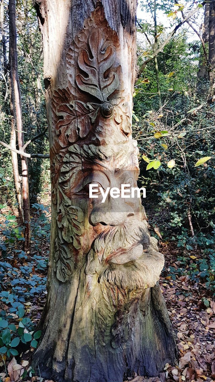 CLOSE-UP OF STATUES ON TREE TRUNK