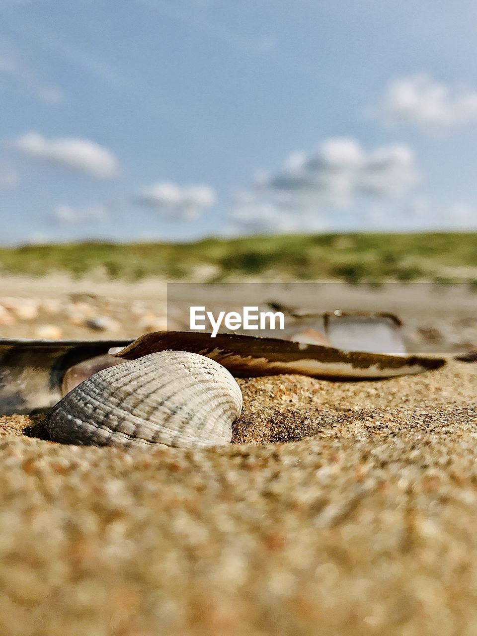 Surface level of sand on beach against sky