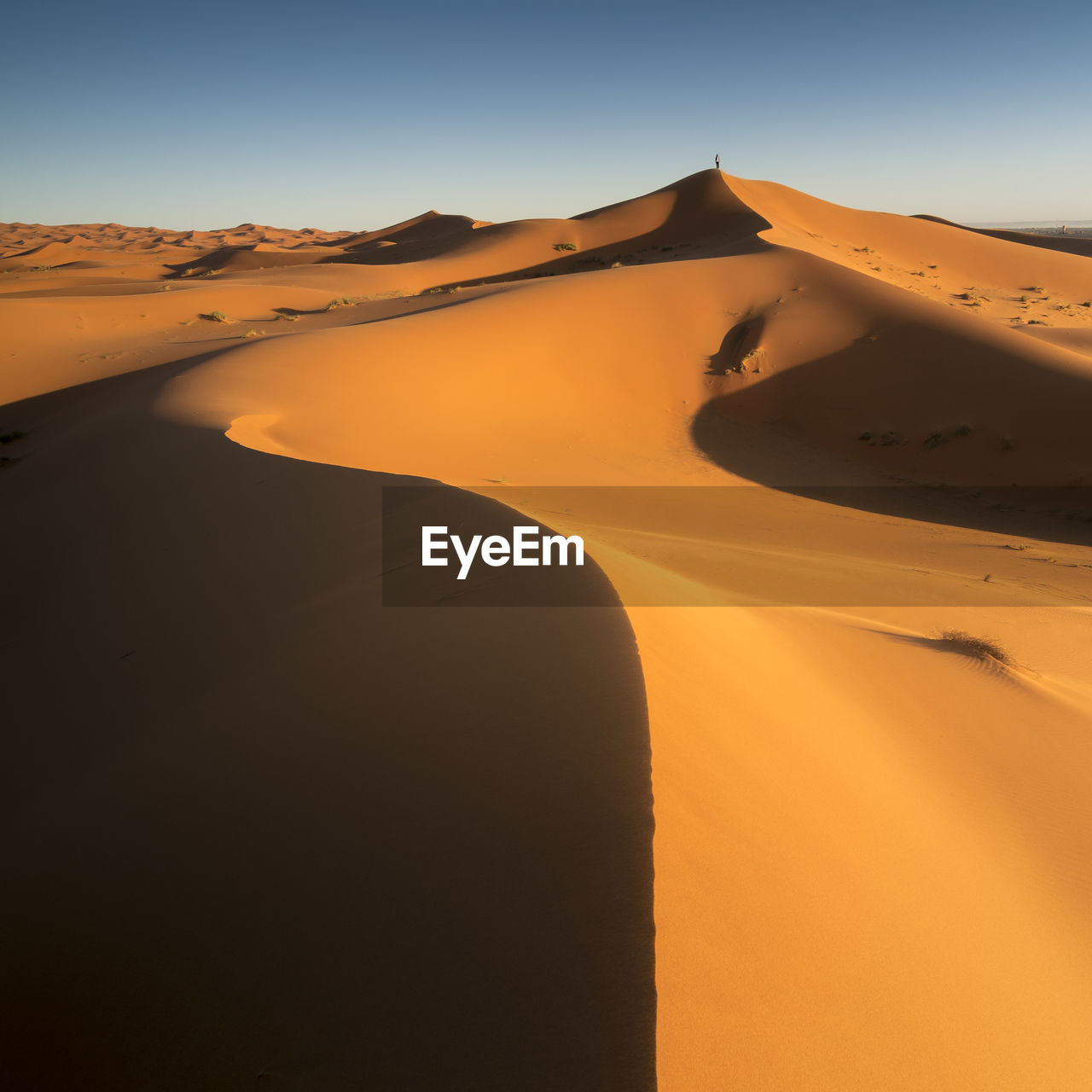 Scenic view of desert against sky during sunset