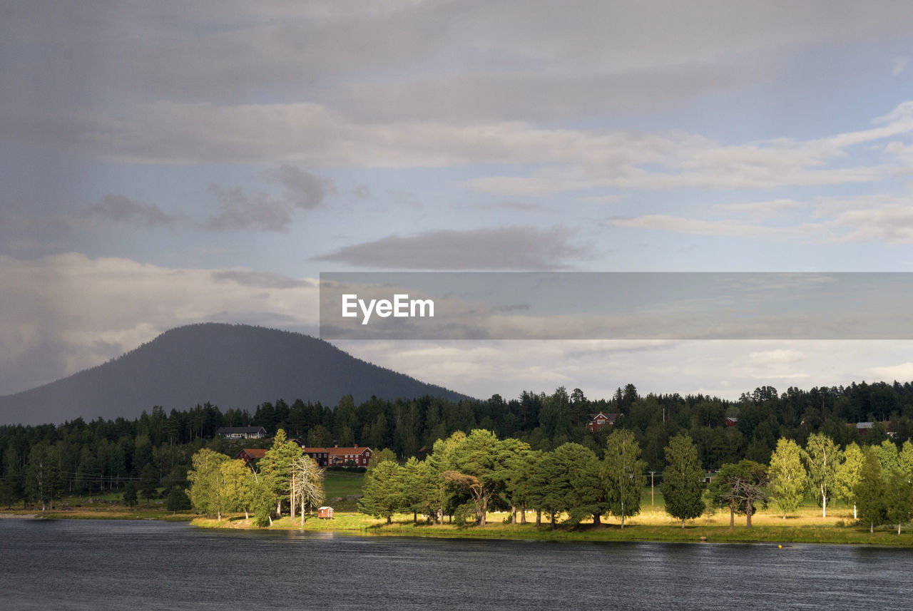 SCENIC VIEW OF LAKE AND TREES AGAINST SKY