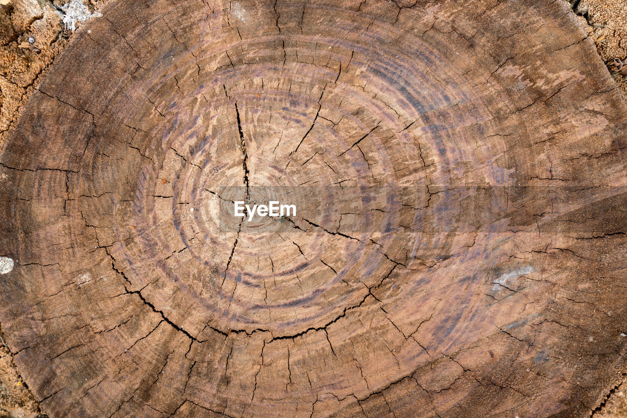 Cut wooden texture for background