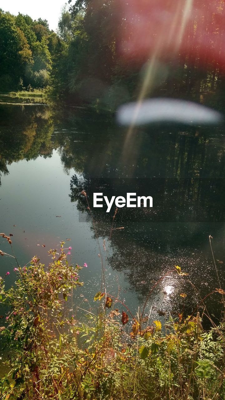 SCENIC VIEW OF LAKE