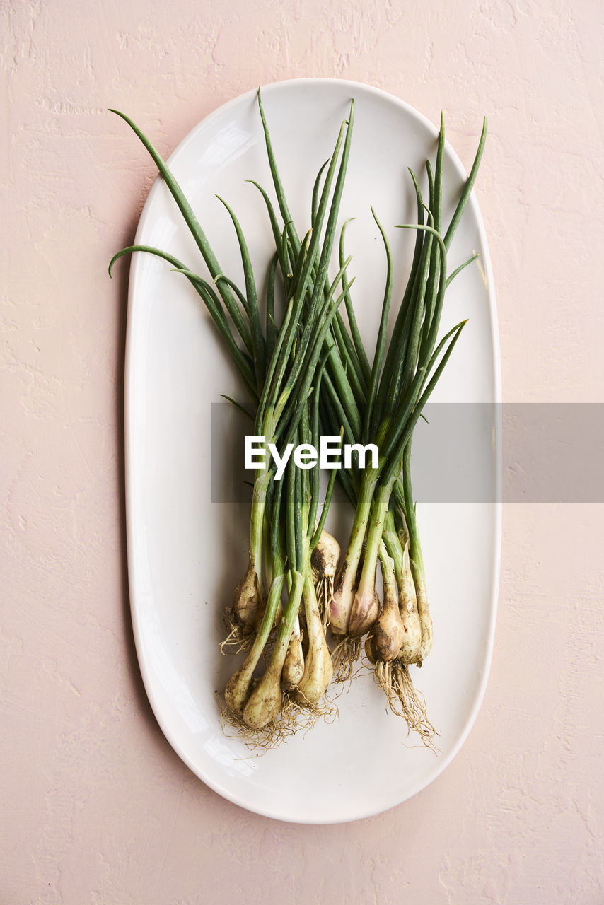 Fresh spring onions vegetables raw on ceramic dish and pink background