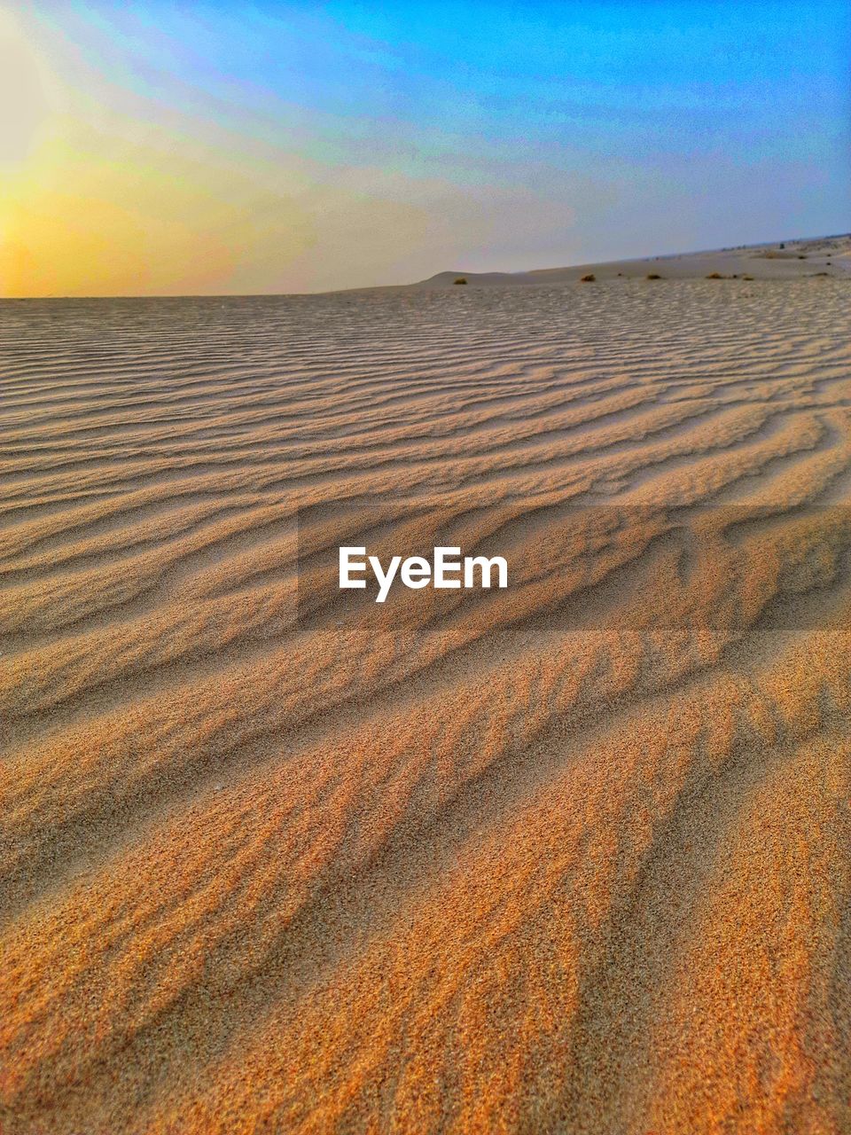 SCENIC VIEW OF SAND DUNES AGAINST SKY