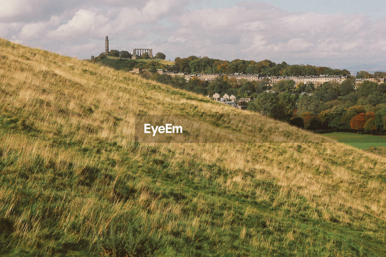 SCENIC VIEW OF GRASSY FIELD AGAINST SKY