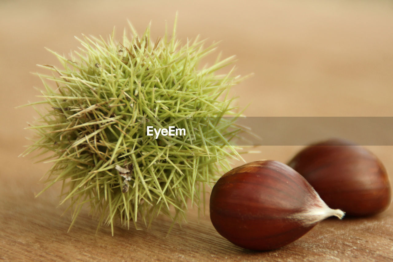 Close-up of chestnuts on table