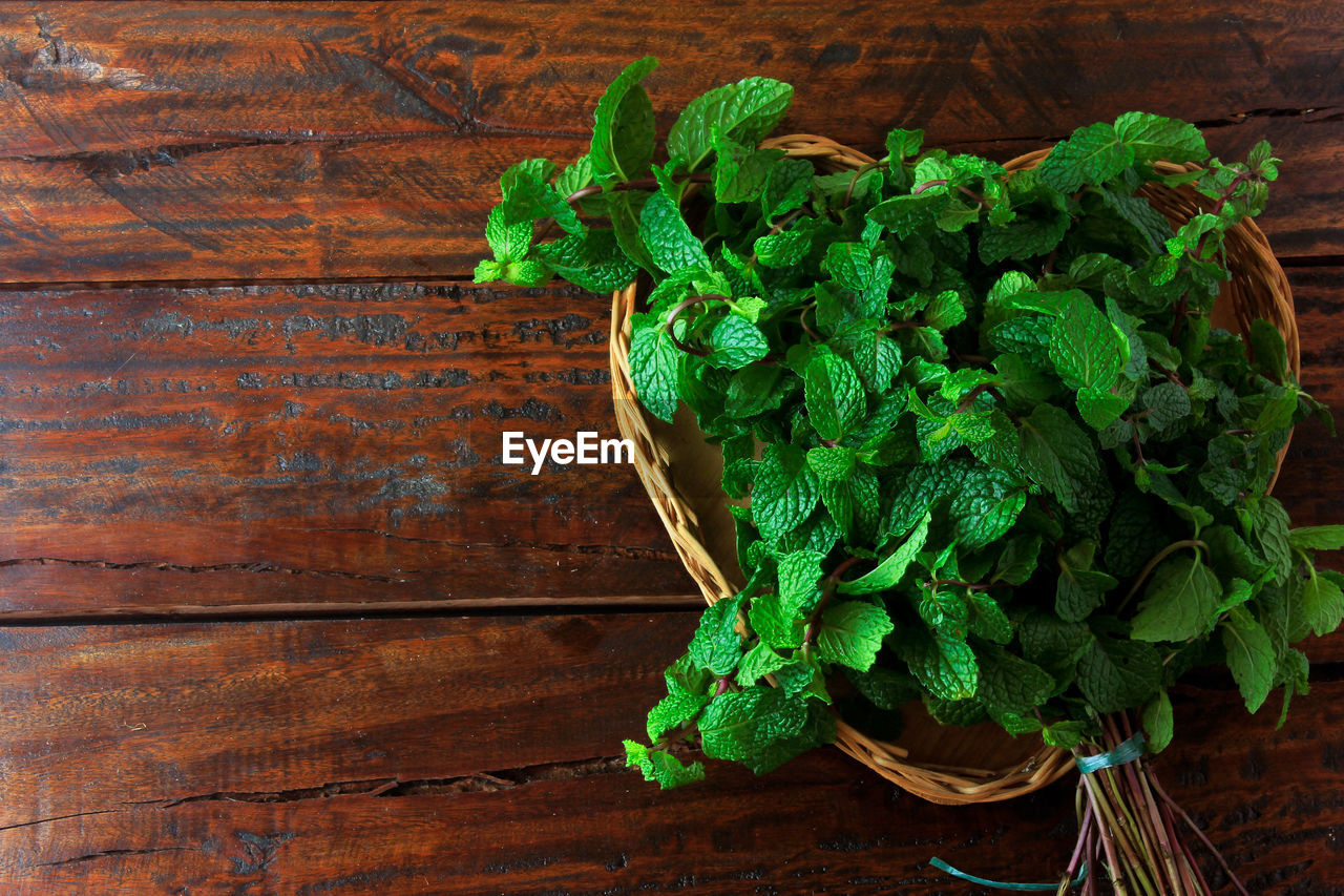 food and drink, green, food, wood, wellbeing, healthy eating, freshness, leaf, herb, plant part, vegetable, indoors, no people, plant, produce, table, parsley, directly above, high angle view, mint leaf - culinary, organic, still life, studio shot, nature, flower, raw food, close-up, rustic, ingredient
