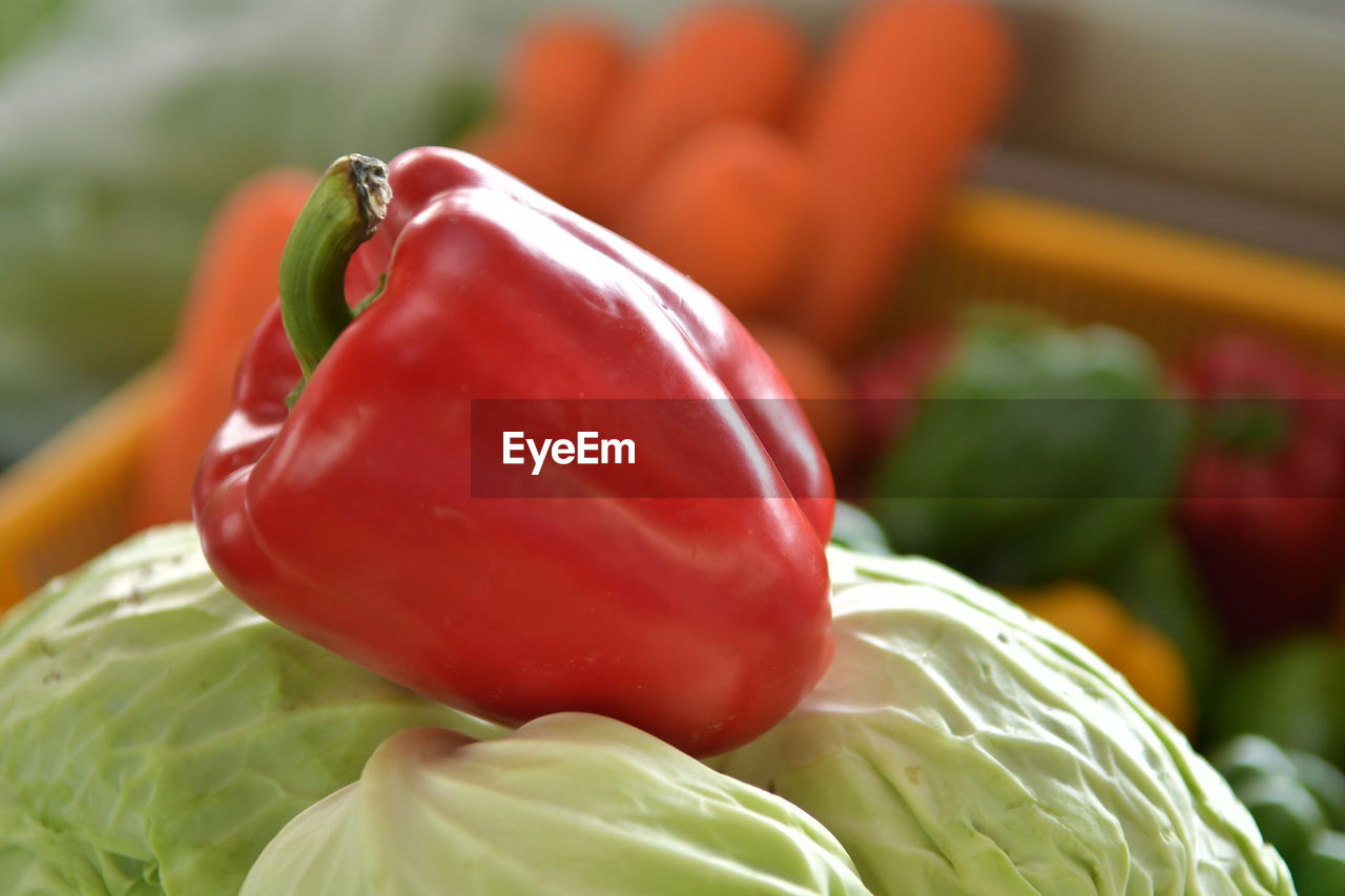 close-up of bell pepper on table