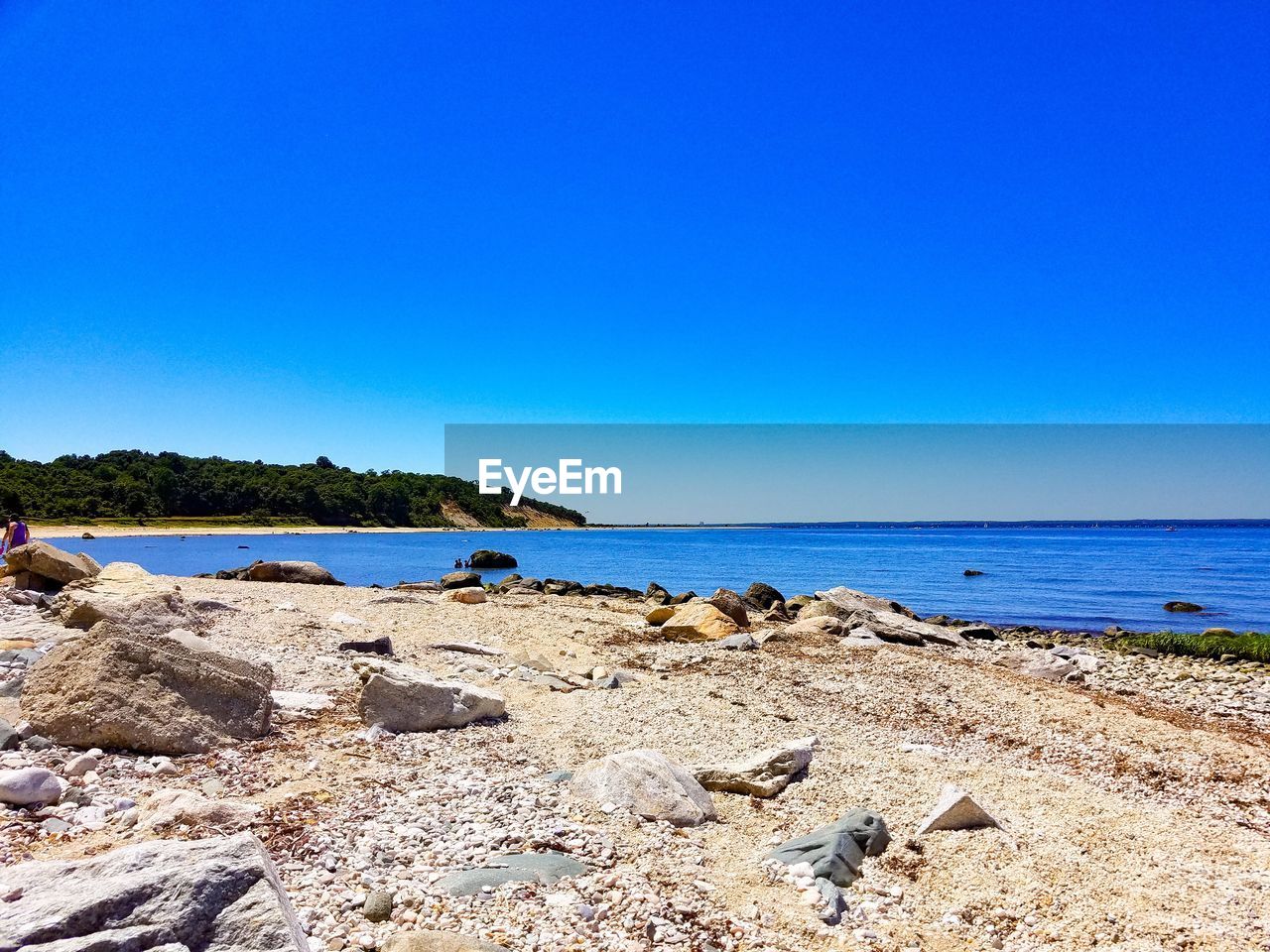 SCENIC VIEW OF BEACH AGAINST CLEAR SKY