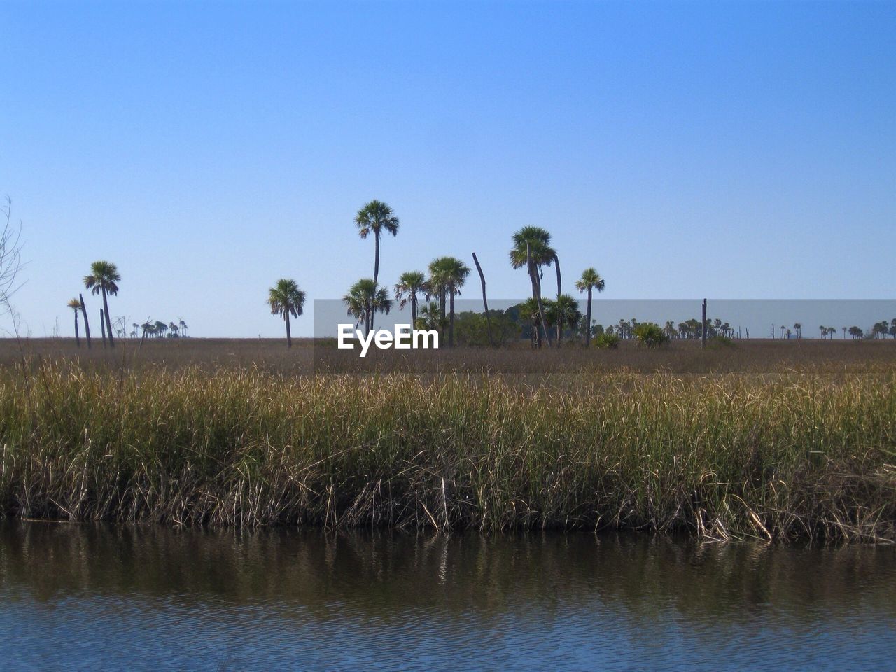 View of lake with trees in the background