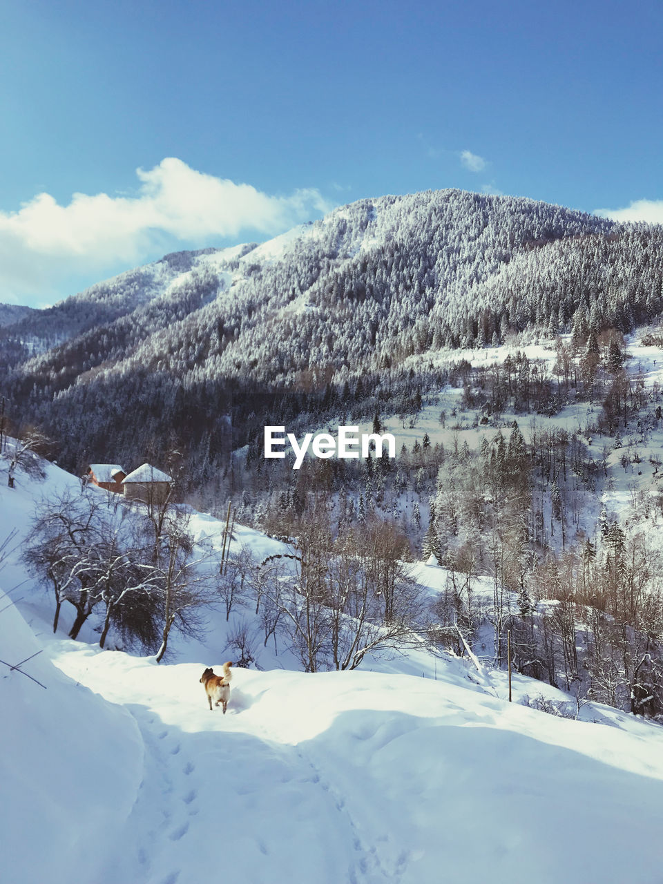 Scenic view of snow covered mountains against sky