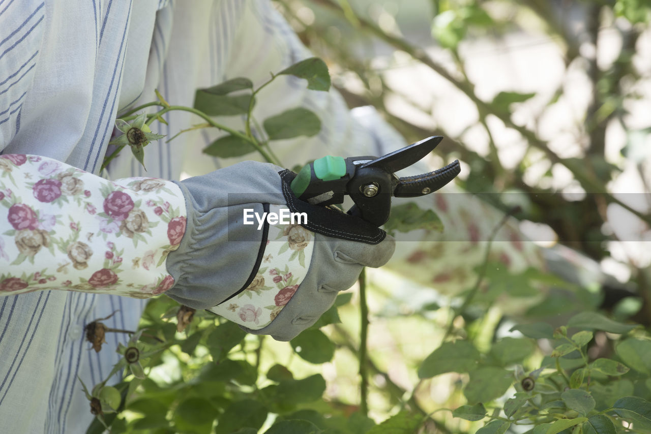 Person working with pruning shears gloves in the garden, gardening as a leisure activity
