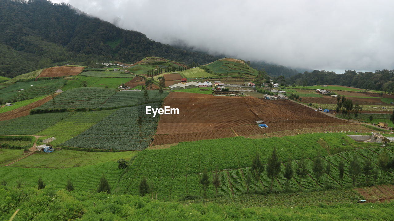 scenic view of agricultural field against mountain