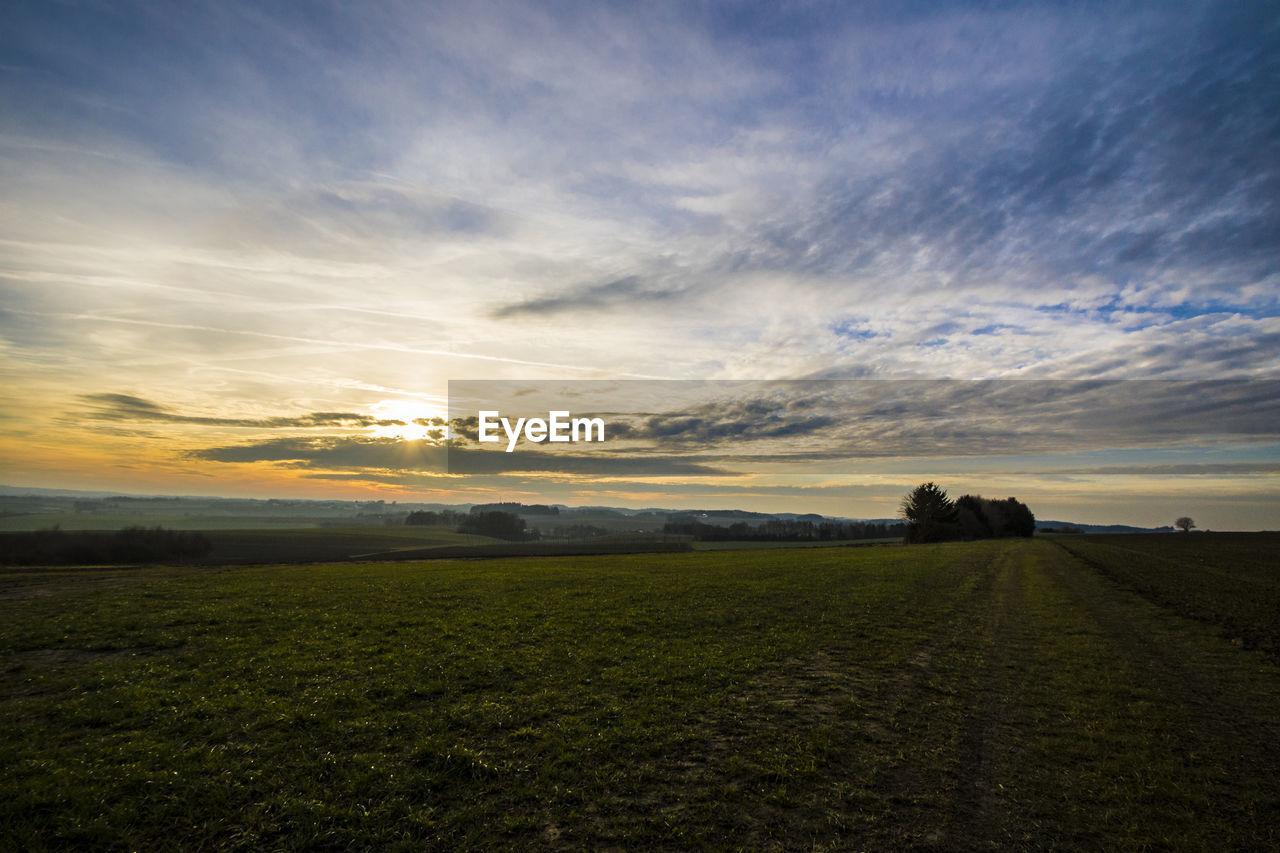 Scenic view of field against sky at sunset