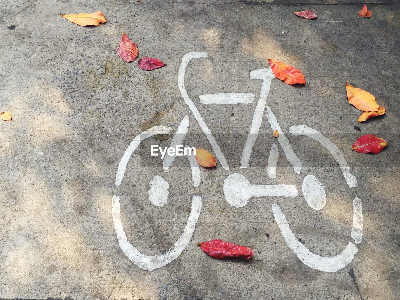 High angle view of bicycle marking on street